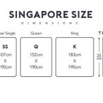 Queen Size Bed Dimensions Cm Singapore