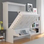 Queen Size Murphy Bed With Shelves